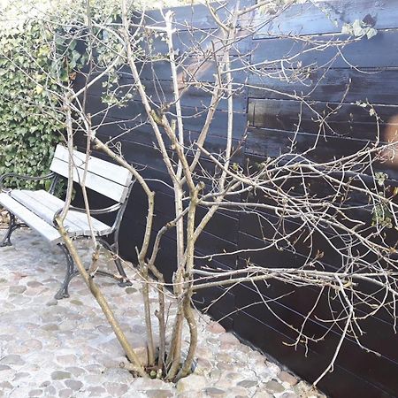 Zacisze Kalwy Leilighet Eksteriør bilde